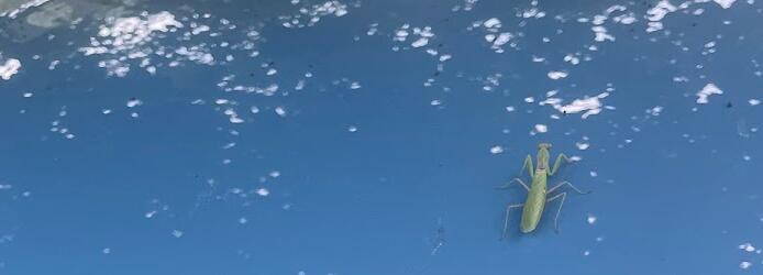 拔草6881之幽谷神潭